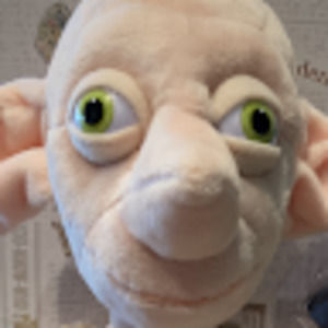 Meet your Posher, Holly